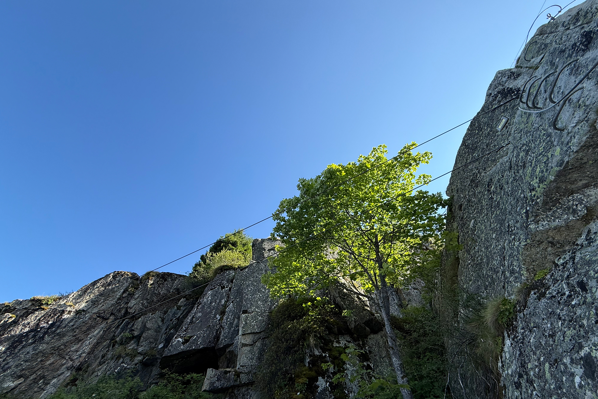 Steep rocky cliff with multiple climbing ropes secured along the wall, green trees at the base, and a clear blue sky above.