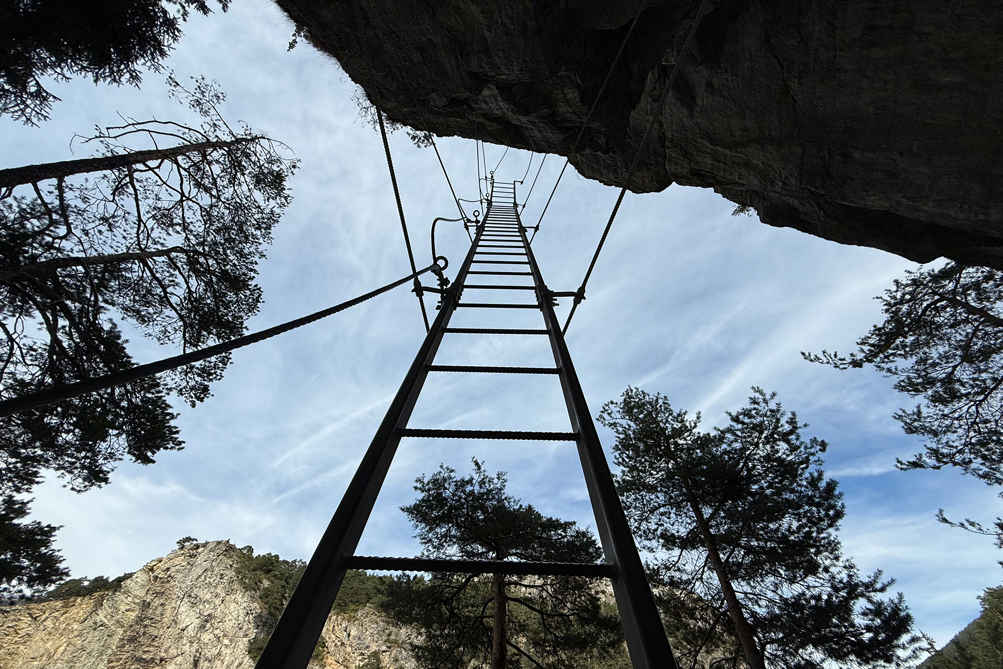 Upward view of a metal ladder fixed to a rock cliff with safety ropes, surrounded by trees and blue sky above.