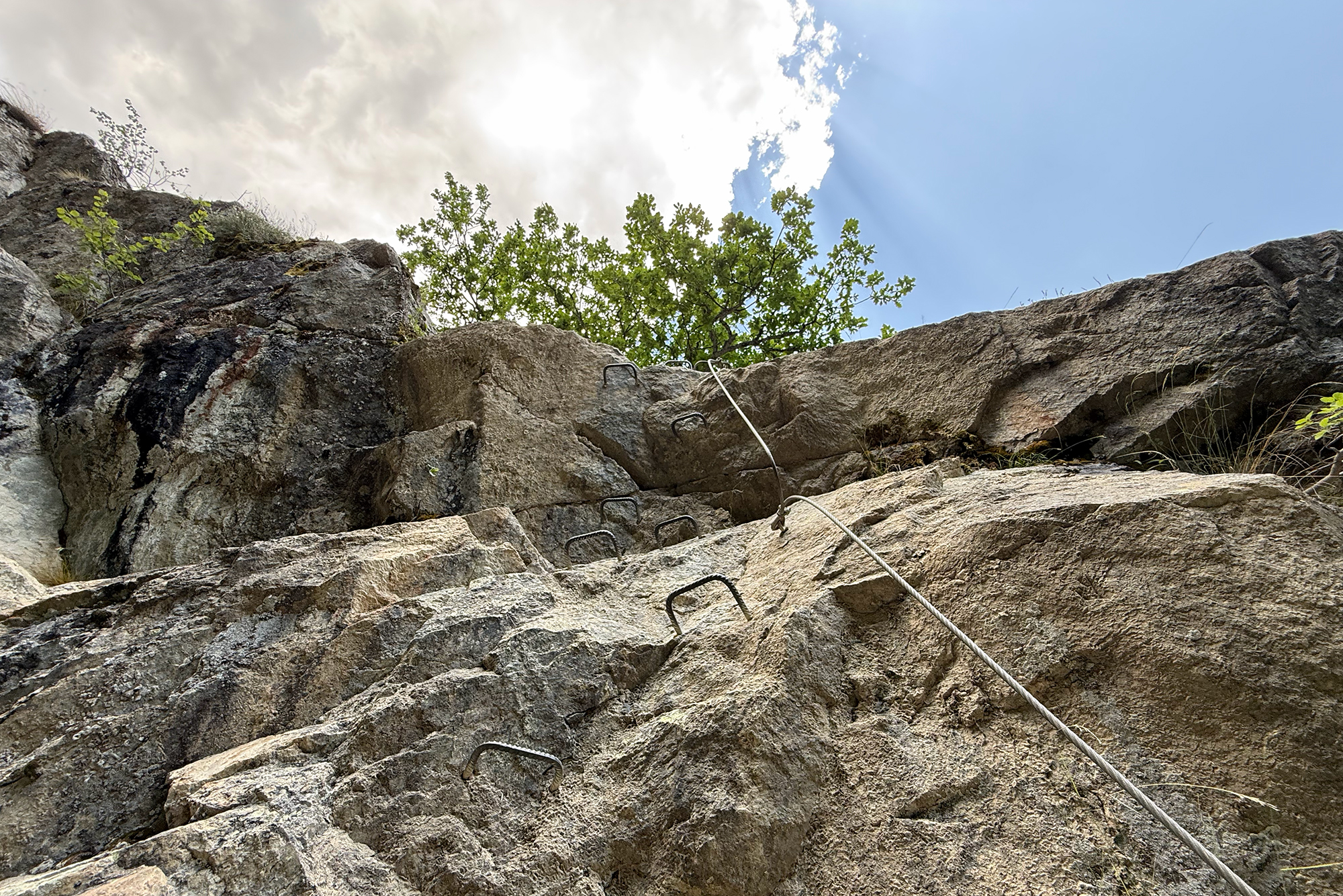 Rock face with metal climbing rungs and a rope, ascending upward toward a tree and blue sky.