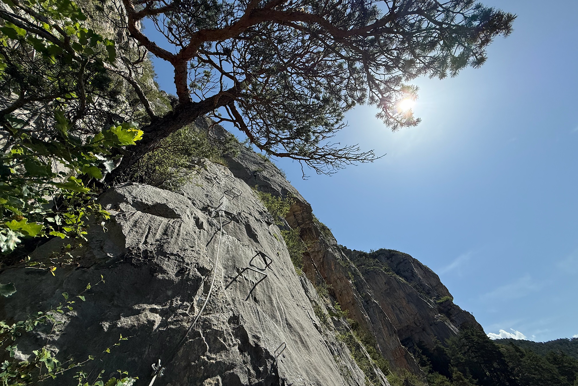 Steep rock cliff with metal climbing rungs (via ferrata) and a leaning tree against a bright blue sky with sun.