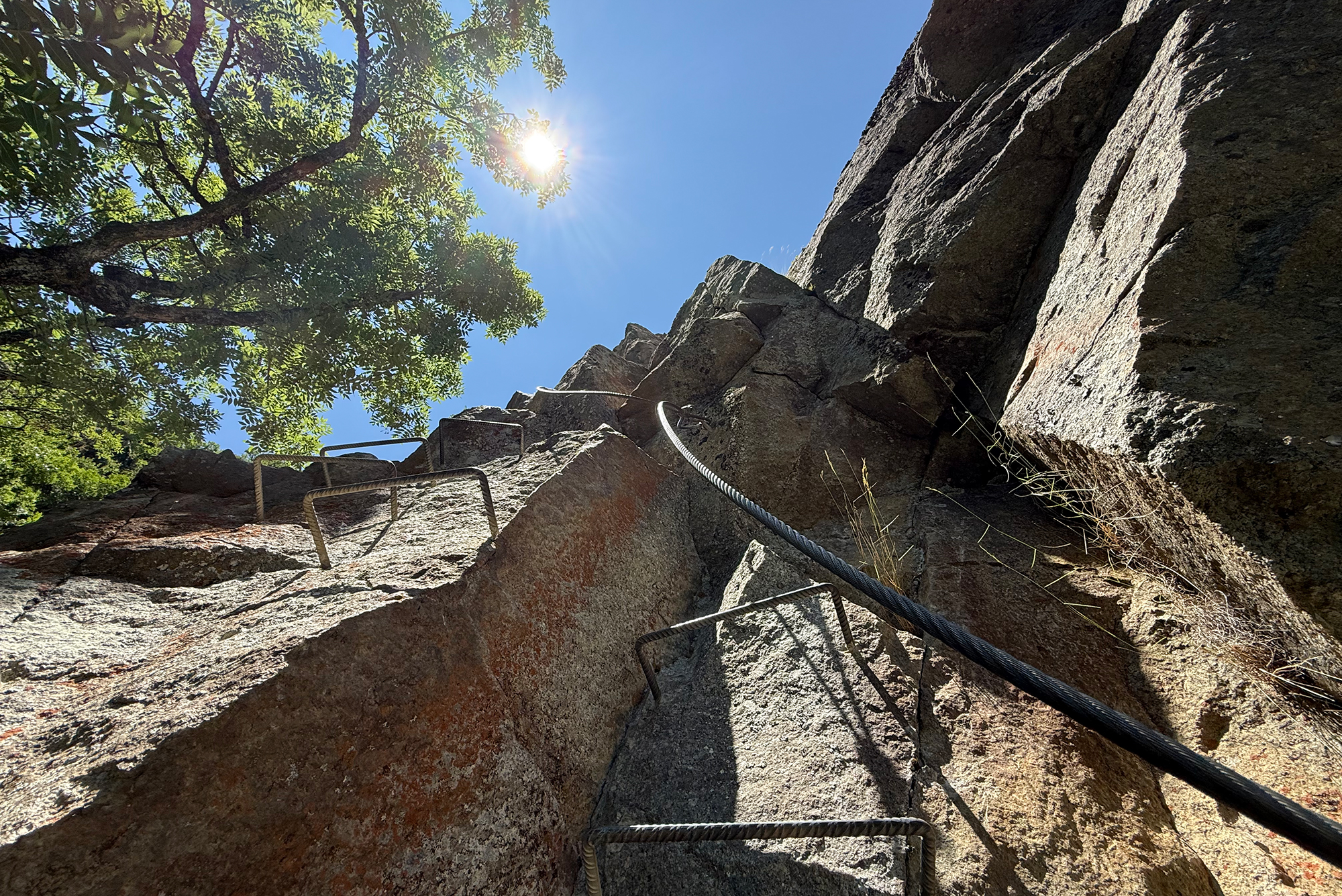 Rock cliff with metal rungs and safety cable, sunlit with tree branches overhead for climbers to ascend likely on a granite wall.