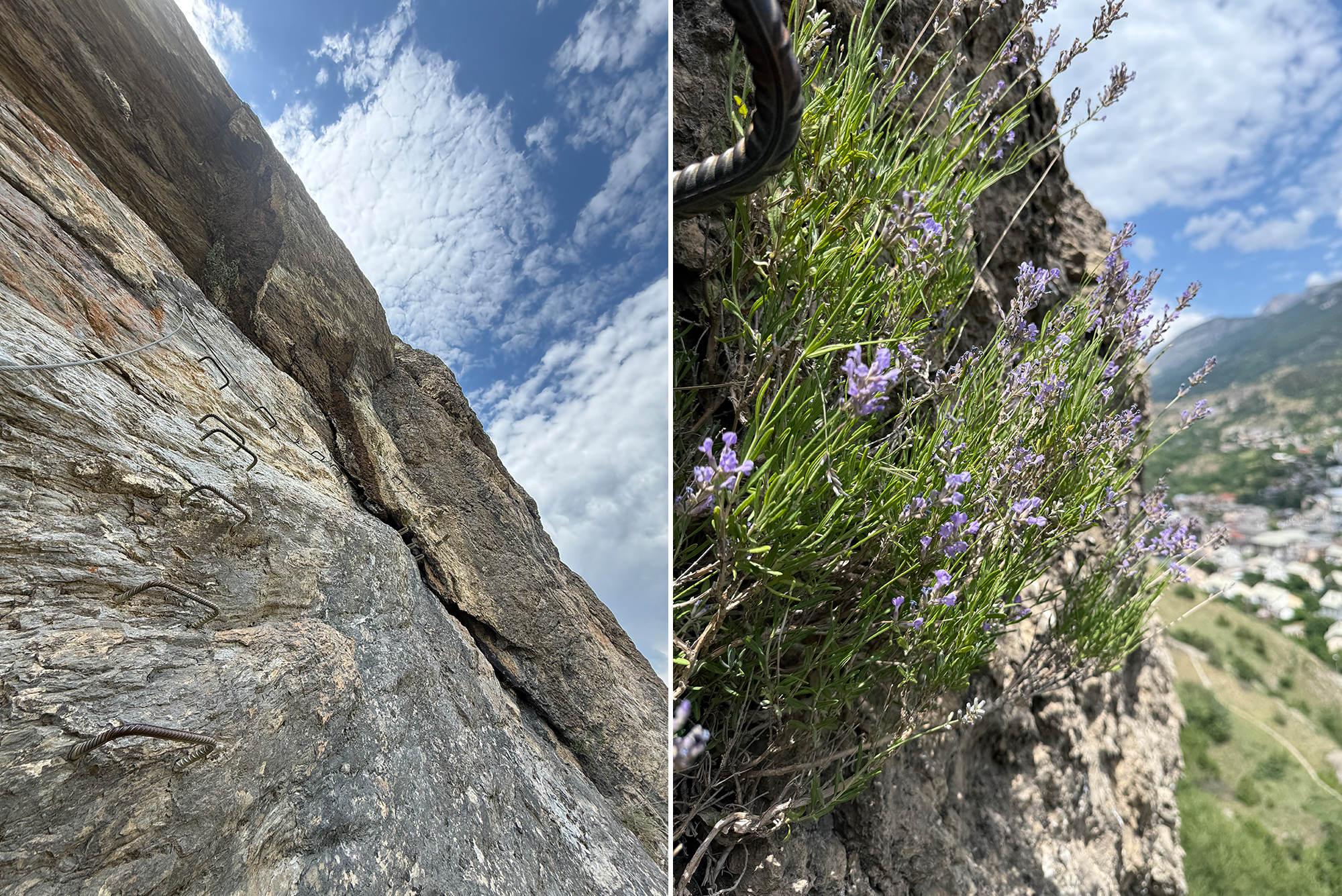 Split image: left shows a rugged rock cliff with rusted metal rebar protrusions and a blue sky; right shows lavender plants growing from a rocky ledge with distant mountains in view.