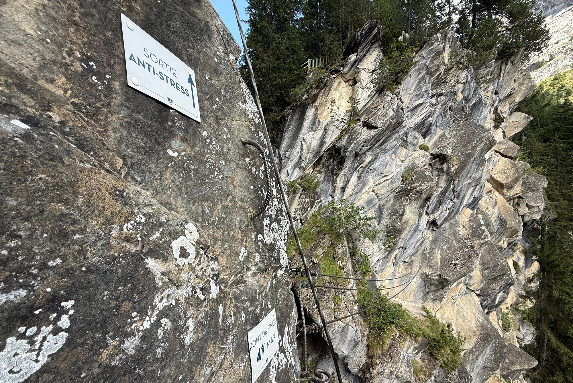 Rugged rock cliff with steel safety cables running along the surface and a sign, indicating a climbing route area amid trees in the background (outdoor adventure setting).