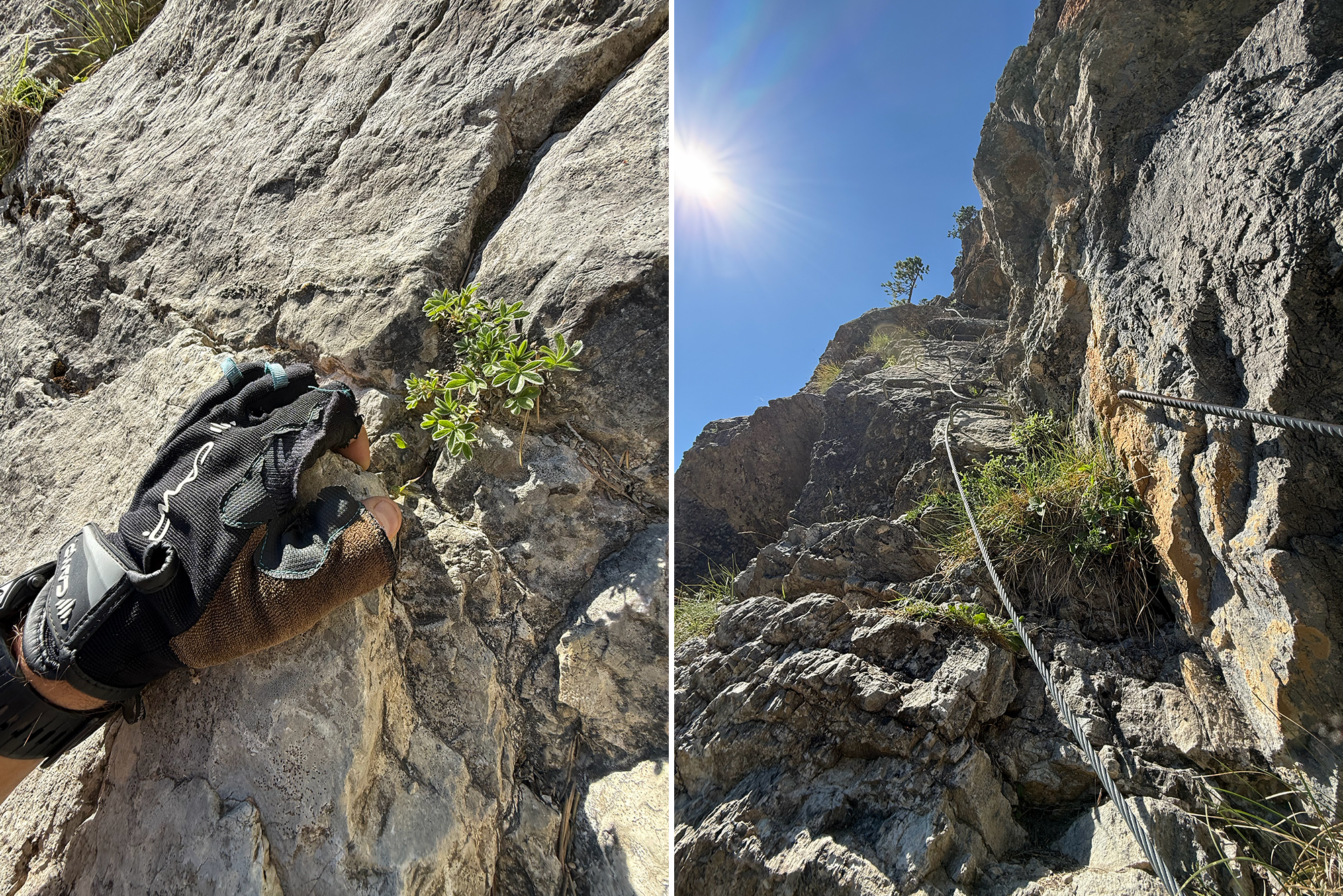Two-panel rock-climbing image: left panel shows a gloved hand grasping rough rock with a small green plant growing from a crack; right panel shows a steep rock face with a climbing rope running up the cliff toward a bright blue sky and sun.