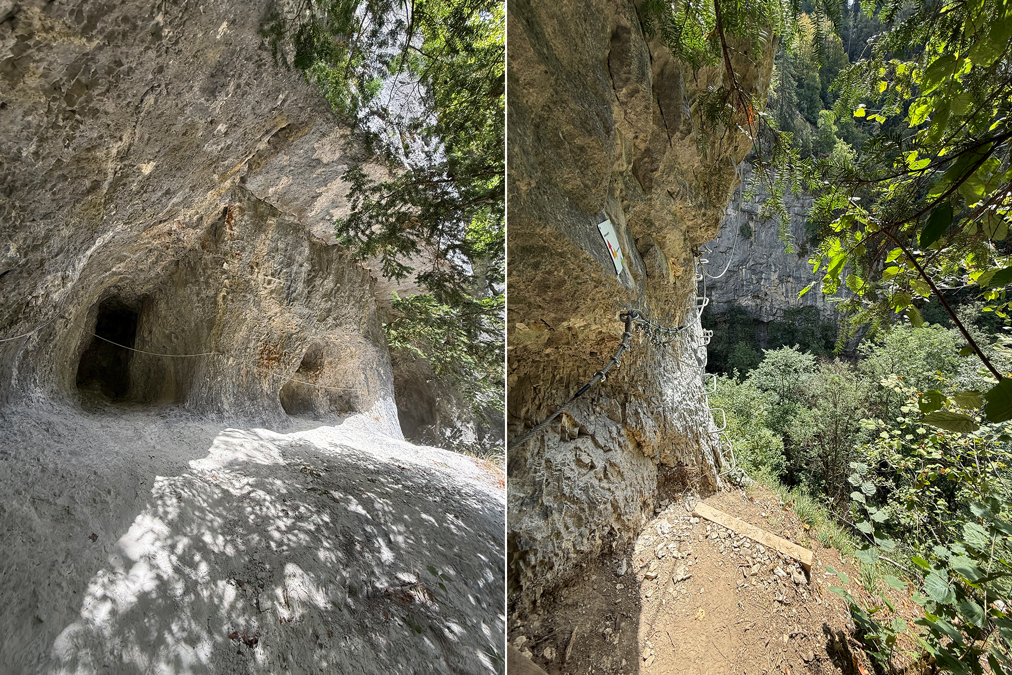 Rocky cave entrance in a sunlit cliff with a dirt ground and overhanging branches above.