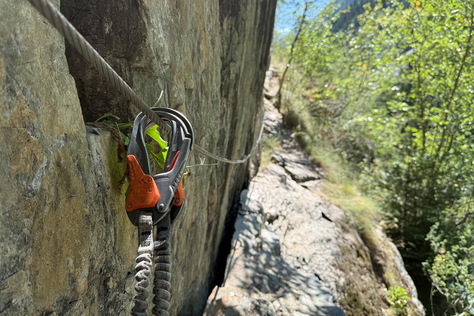 Climbing rope secured to a rock wall with a carabiner and quickdraw, greenery in the background on a sunny trail.