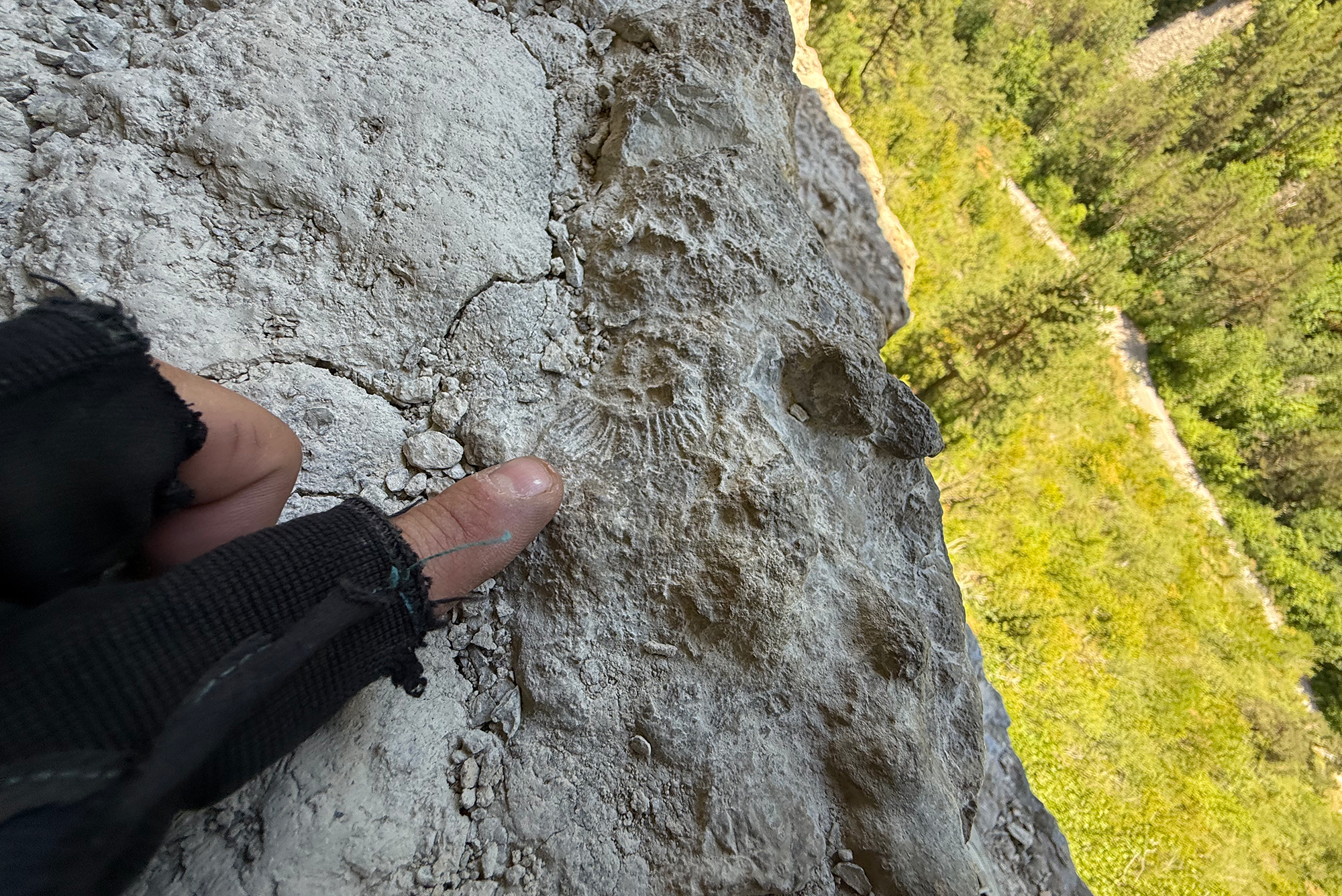 Fossiles marins sur la Via Ferrata des Gorges d'Agnielles