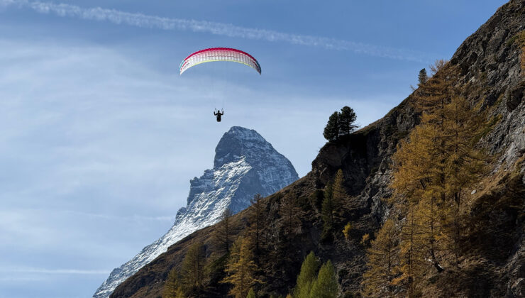 Schweifinen