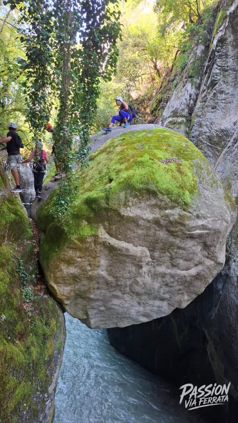 Nouveauté avec échelle inversée en fin de parcours 
Et un parcours marron débutant tout neuf