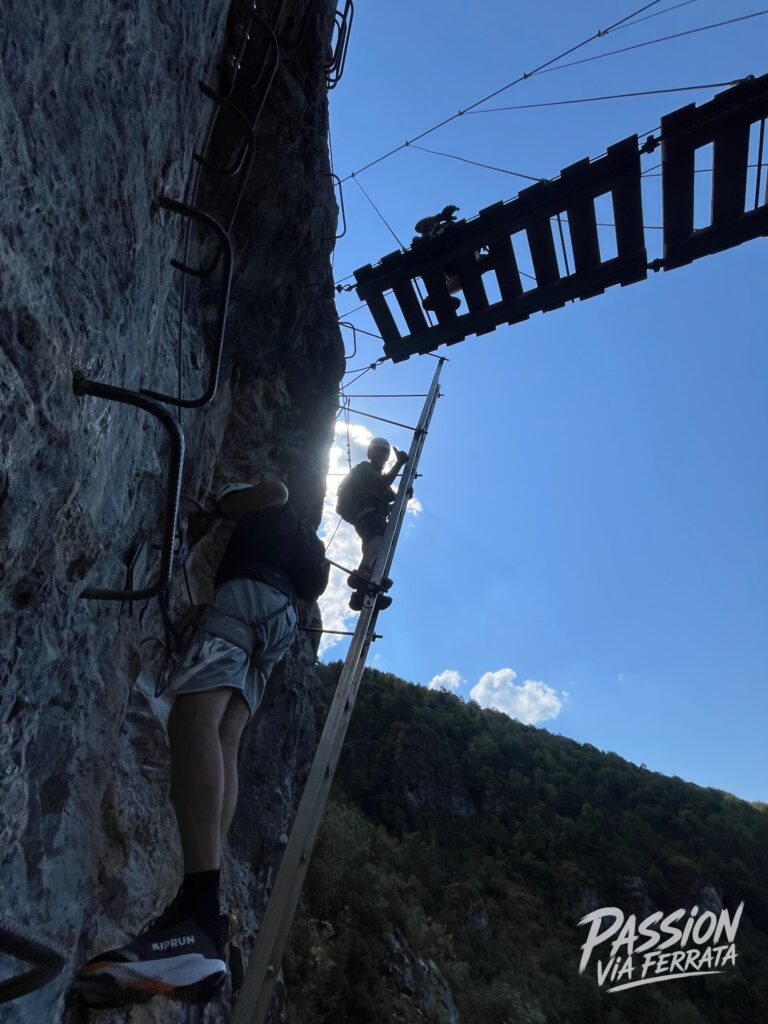 Nouveauté avec échelle inversée en fin de parcours 
Et un parcours marron débutant tout neuf