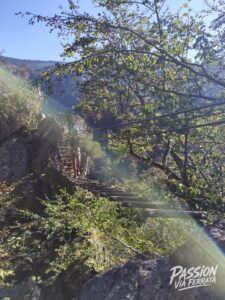 Photo de la sortie à Via Ferrata de Planfoy