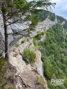 Photo de la sortie à Via Ferrata du Tichodrome