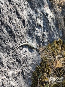 Photo de la sortie à Via Ferrata de Mende