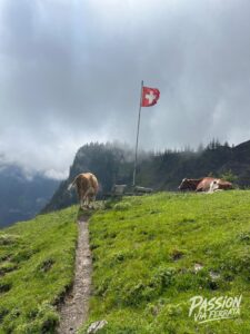 Photo de la sortie à Via Ferrata Kandersteg-Allmenalp