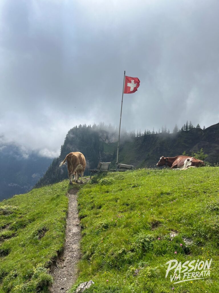Photo de Via Ferrata Kandersteg-Allmenalp
