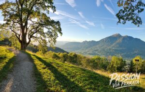 Photo de la sortie à Via Ferrata de la Gorge du Cé – Mont Saxonnex