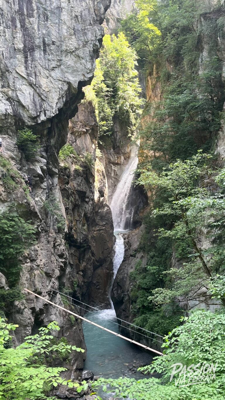 Photo de Via Ferrata du Parc Thermal