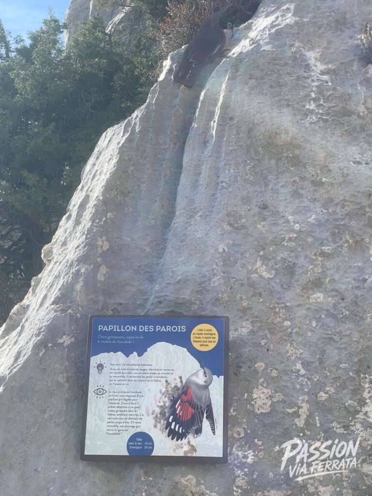 Photo de Via Ferrata de Bauroux / Baou Roux