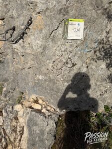 Photo de la sortie à Via Ferrata des Gorges du Gardon