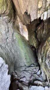 Photo de la sortie à Baltschieder
