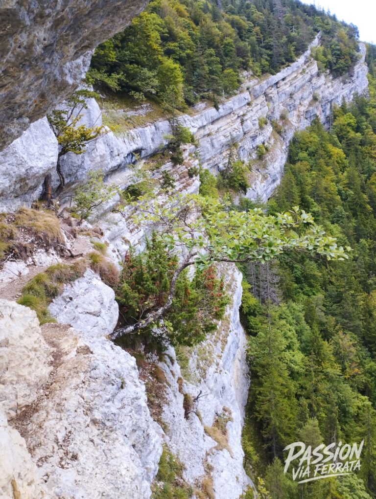 Photo de Via Ferrata du Tichodrome