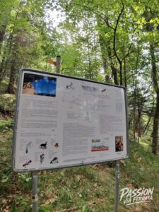 Photo de la sortie à Via Ferrata du Tichodrome